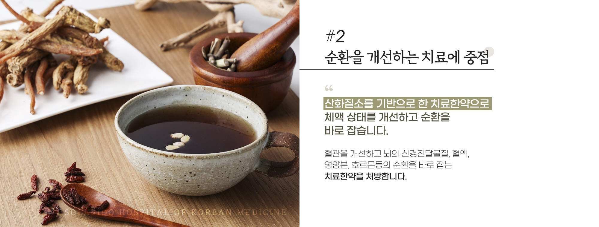 #2진단영역